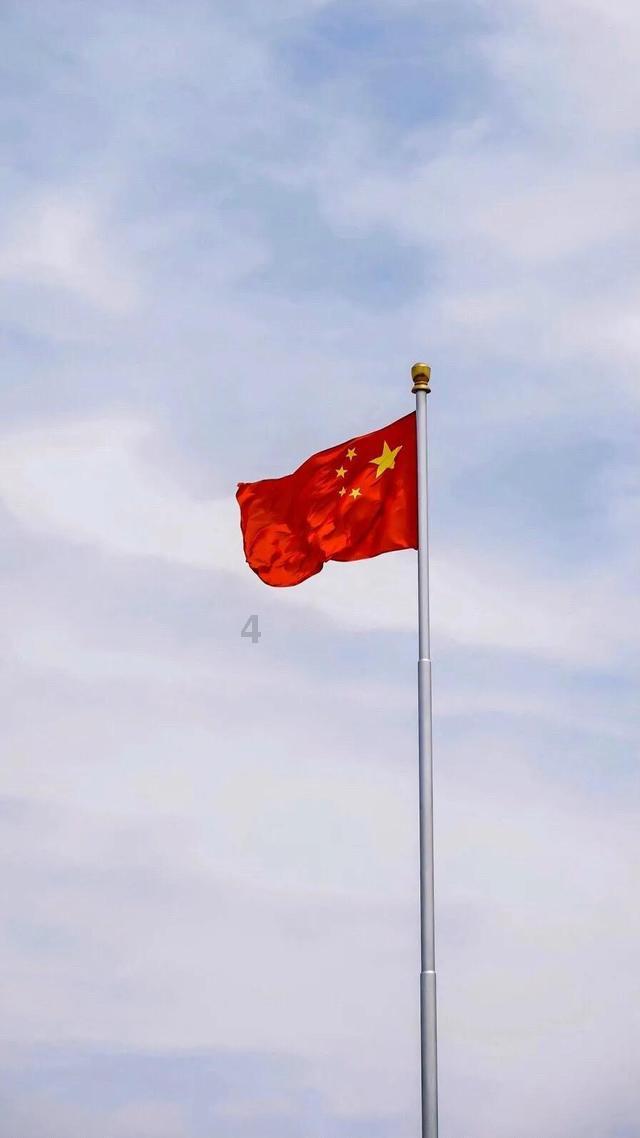 茶杯头