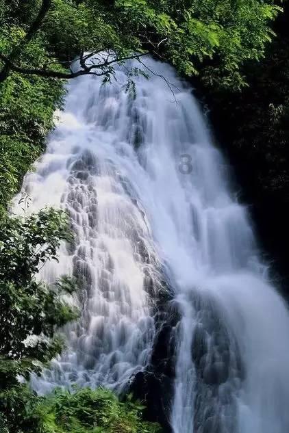 中餐厅之小凯厨神