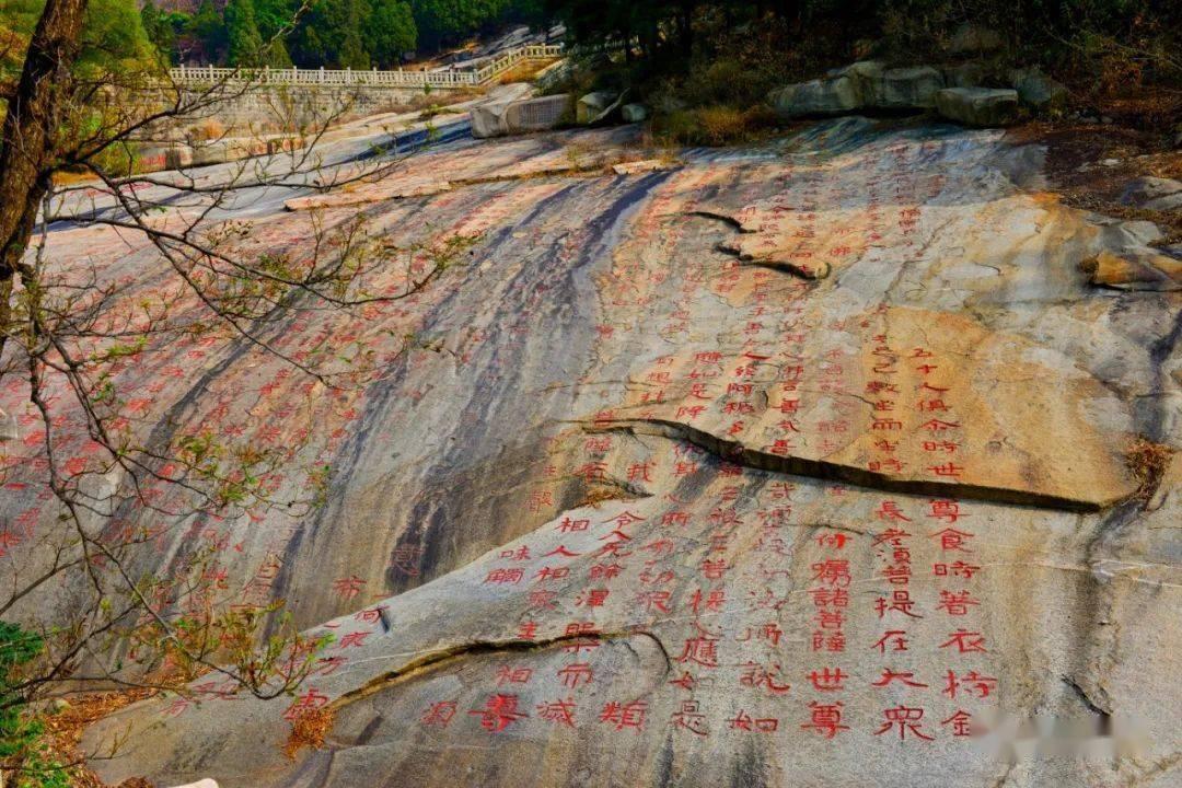 公主的成人礼